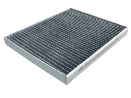 Ford Fiesta 1.5TDCi 2012-2025 Sardes Karbonlu Polen