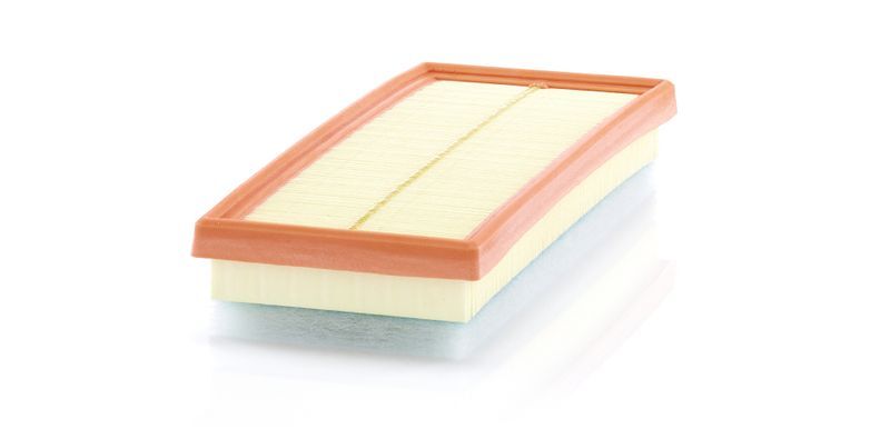 Citroen C4 1.2 Hybrid 2025-2026 MANN Hava Filtresi NETPAR4012