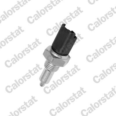Citroen C3 1.4HDI 2009-2015 VERNET Geri Vites Müşürü (8HZ)