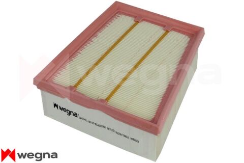 Renault Megane 4 1.5dCi 2015-2025 WEGNA Hava Filtresi (K9K)