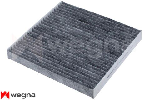 Honda Accord 2.0 2003-2015 WEGNA Karbonlu Polen Filtresi (K20A-K20Z2-R20A-R20A3)