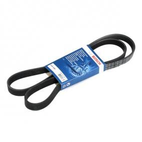 Peugeot 206 1.4 2000-2007 Bosch V Kayışı 6PK1560