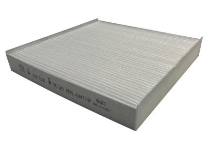 Citroen XSara 1.4HDI 2003-2005 Sardes Polen Filtresi