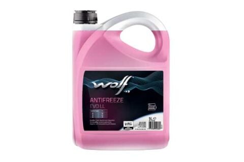 WOLF ANTIFREEZE EVO LL 5 Litre Antifriz