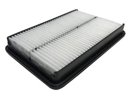 Hyundai Santa Fe 2.0CRDi 2013-2018 Sardes Hava Filtresi NETPAR2625 (D4HA)