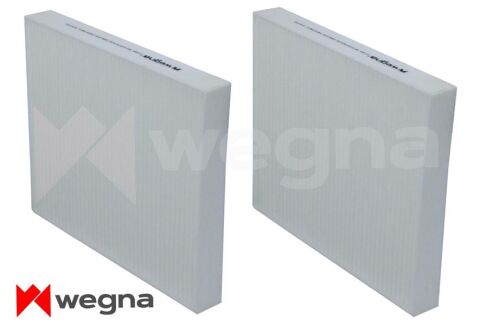 BMW 5 F10 520i 2.0 2011-2015 WEGNA Polen Filtresi