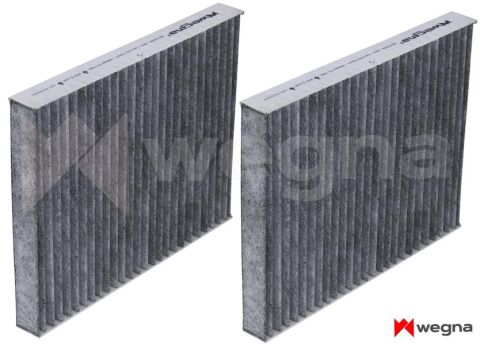 BMW 5 F10 520i 2.0 2011-2015 WEGNA Karbonlu Polen Filtresi