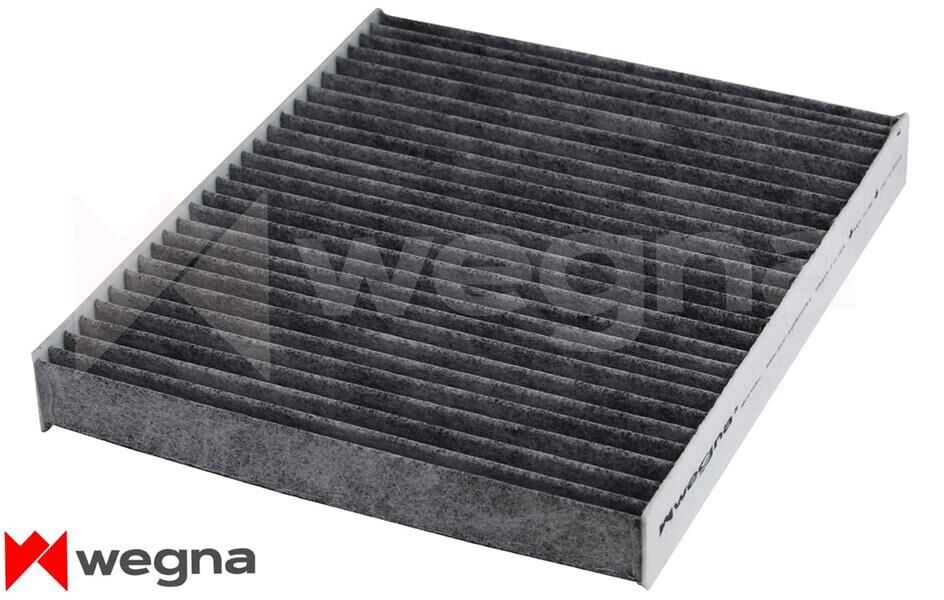 Mercedes G  Serisi (463) 350 BlueTec 3.0d 2011-2015 WEGNA Karbonlu Polen Filtresi