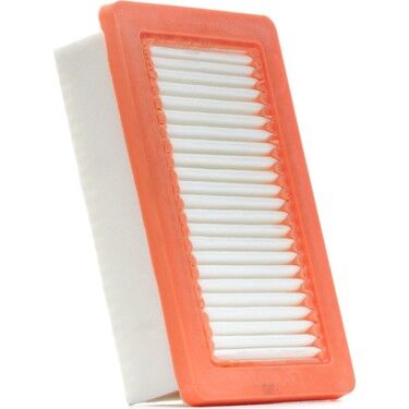 Renault Clio 5 1.0TCe 90 2020-2025 Sardes Hava Filtresi NETPAR2923 (H4D)