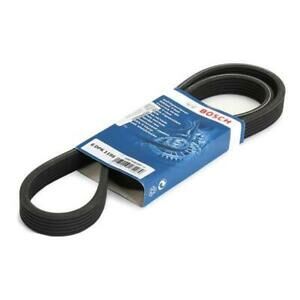 Volkswagen Polo Classic 1.6 1998-2004 Bosch V Kayışı 6DPK1195