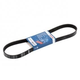 Citroen C4 X 1.2 PureTech 2022-2026 Bosch V Kayışı 6EPK1019