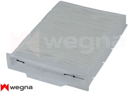 Renault Megane 2 1.6 2002-2008 WEGNA Polen Filtresi (K4M)