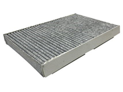 Citroen C3 1.4 2002-2009 Sardes Karbonlu Polen