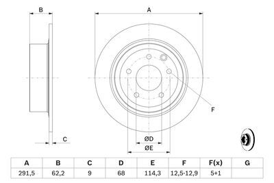 Nissan Qashqai 1.6 2006-2013 Bosch Arka Disk 2 Adet (HR16)