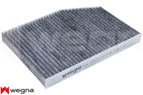 BMW X3 G01 sDrive 20i 1.6 2017-2024 WEGNA Karbonlu Polen Filtresi