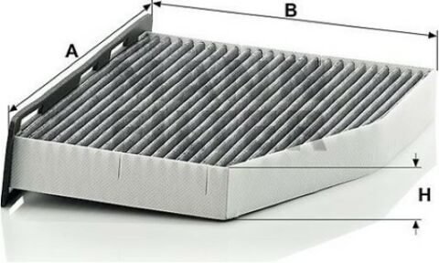 Volkswagen Passat 1.6TDI 2009-2014 MANN Karbonlu Polen