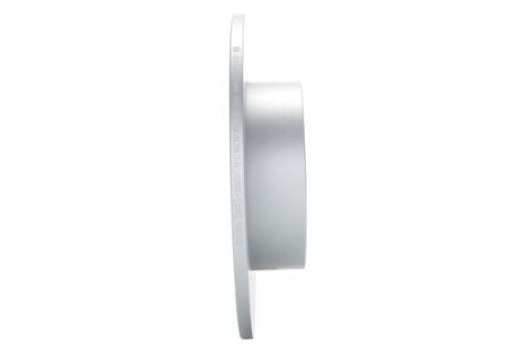 Volkswagen Golf 5 1.6 2004-2005 Bosch Arka Disk (255 mm) 2 Adet (BGU)