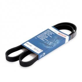 Audi A8 4.2FSI 2006-2010 Bosch V Kayışı