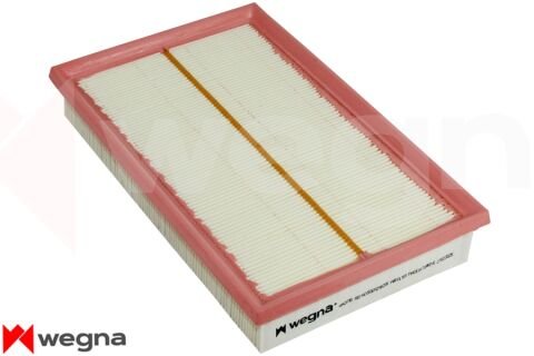 Audi A3 1.5TFSI 2017-2019 WEGNA Hava Filtresi (DAD)