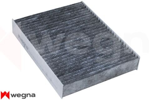 BMW 1 F20 116d ED 1.5 2015-2019 WEGNA Karbonlu Polen Filtresi