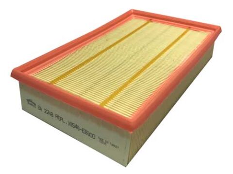 Nissan Pathfinder 2.5dCi 2005-2010 Sardes Hava Filtresi NETPAR2248 (YD25)