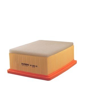 Citroen Berlingo 2.0HDi 2002-2008 FILTRON Hava Filtresi